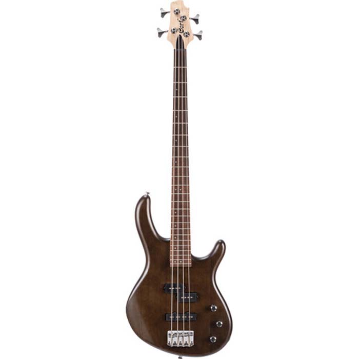 Ibanez Cort Action PJ